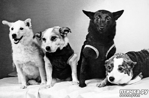 ���� 1: 10 ����� ���������� ����� � �������.