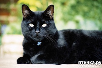 ���� 2: ���������� ����� � ������ ������