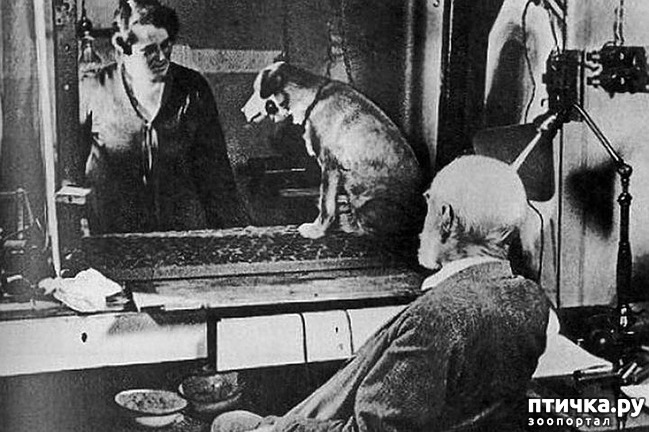 ���� 5: 10 ����� ���������� ����� � �������.