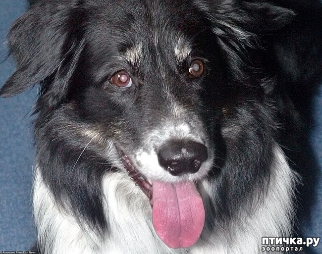 ���� 8: 10 ����� ���������� ����� � �������.