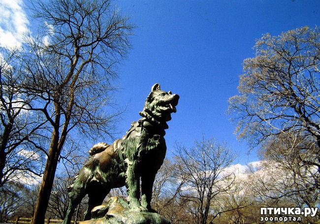 ���� 9: 10 ����� ���������� ����� � �������.