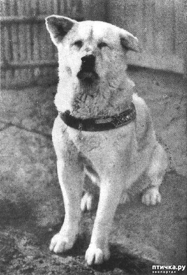 ���� 11: 10 ����� ���������� ����� � �������.