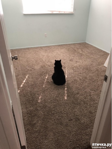 ���� 1: ����� �� ����� ������? ��� �� ������!