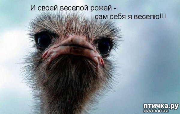 ���� 1: ��� �������� ��������!!!