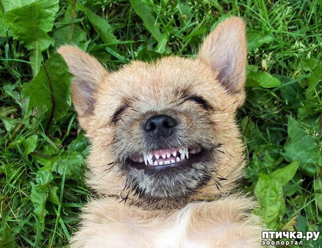 ���� 3: ��� �������� ��������!!!