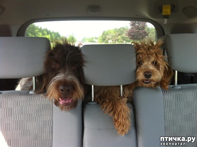 ���� 4: ��� �������� ��������!!!