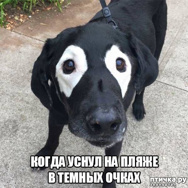 ���� 5: ��� �������� ��������!!!