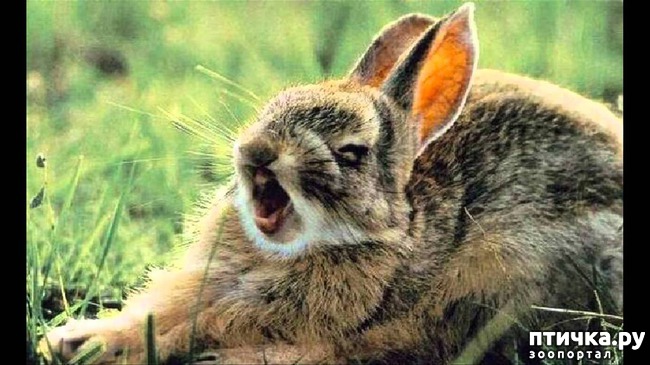 ���� 6: ��� �������� ��������!!!