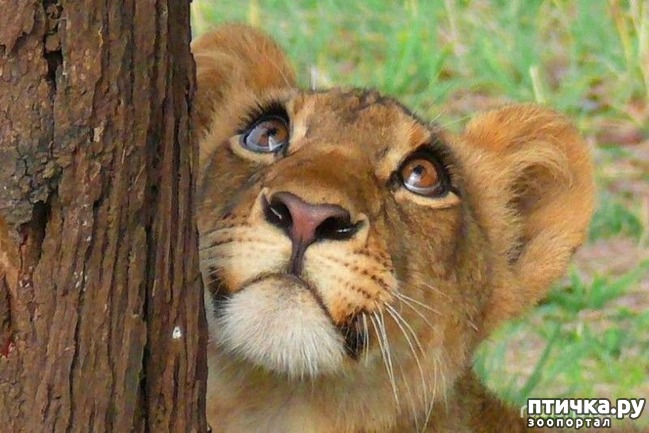 ���� 8: ��� �������� ��������!!!