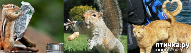 ���� 10: ��� �������� ��������!!!