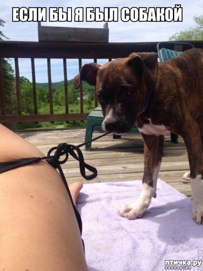 ���� 11: ��� �������� ��������!!!