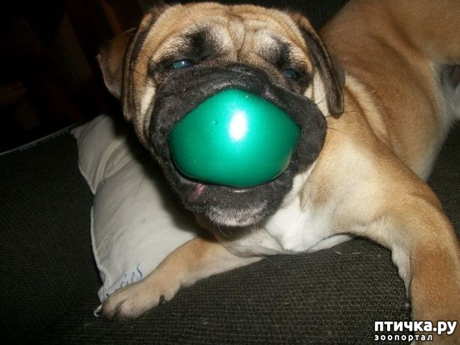 ���� 13: ��� �������� ��������!!!