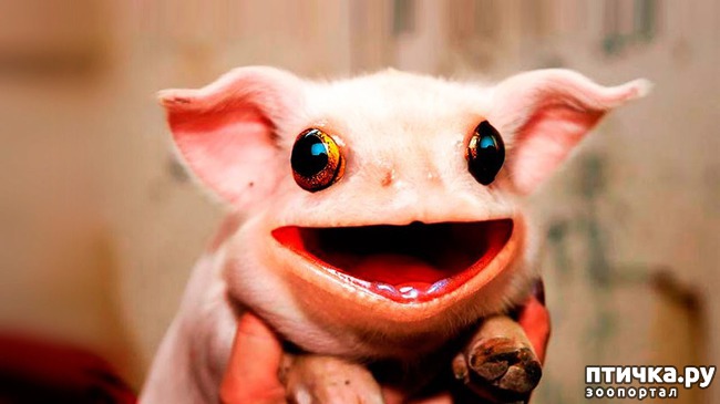 ���� 14: ��� �������� ��������!!!