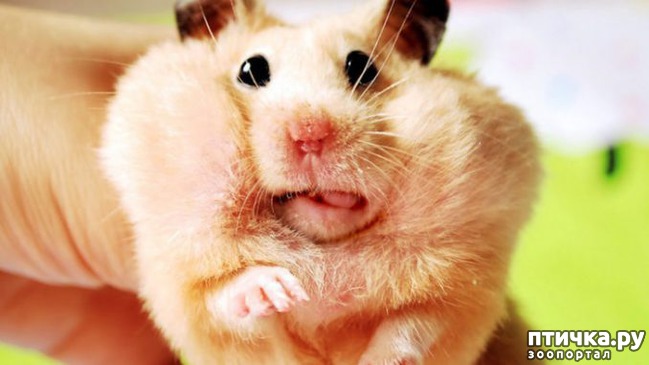 ���� 17: ��� �������� ��������!!!