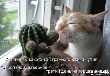 ���� 1: �����������: ����� - ��� �����!