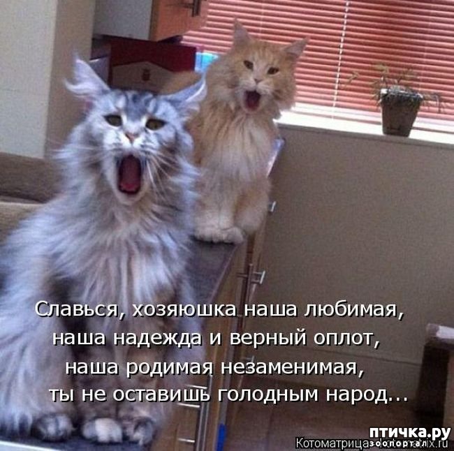 ���� 2: �����������: ����� - ��� �����!