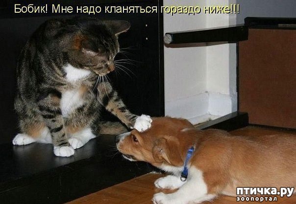 ���� 3: �����������: ����� - ��� �����!