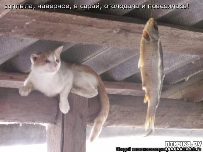 ���� 4: �����������: ����� - ��� �����!