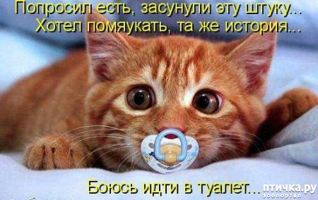 ���� 5: �����������: ����� - ��� �����!