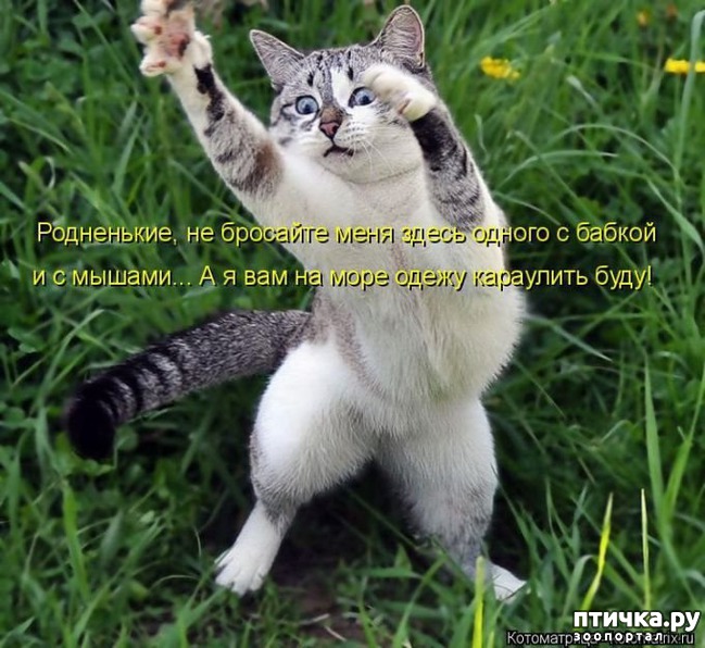 ���� 6: �����������: ����� - ��� �����!