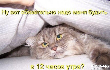 ���� 7: �����������: ����� - ��� �����!