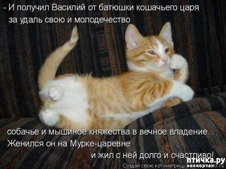 ���� 8: �����������: ����� - ��� �����!