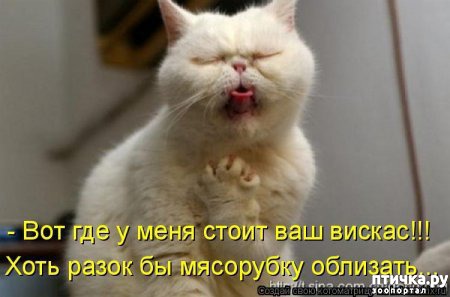 ���� 9: �����������: ����� - ��� �����!