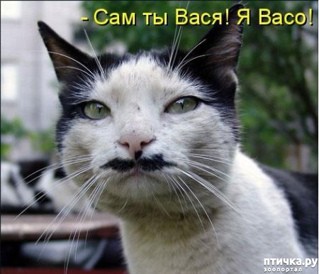 ���� 10: �����������: ����� - ��� �����!