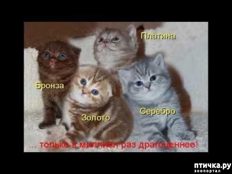 ���� 11: �����������: ����� - ��� �����!