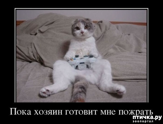 ���� 13: �����������: ����� - ��� �����!