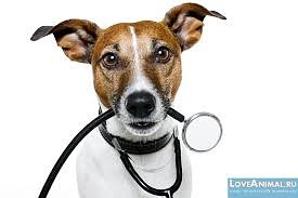 ���� 1: �����-����� ����� ������ �������� �������� ��������