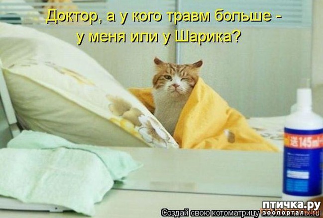 ���� 15: �����������: ����� - ��� �����!