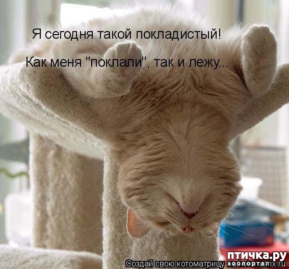 ���� 16: �����������: ����� - ��� �����!