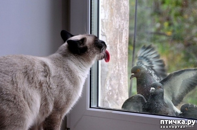 ���� 18: �����������: ����� - ��� �����!