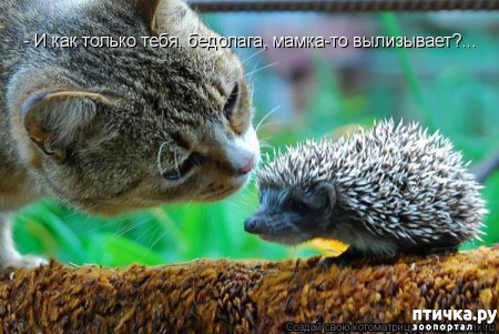 ���� 20: �����������: ����� - ��� �����!