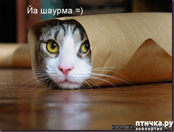 ���� 21: �����������: ����� - ��� �����!