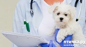 ���� 2: �����-����� ����� ������ �������� �������� ��������