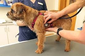 ���� 3: �����-����� ����� ������ �������� �������� ��������