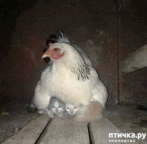 ����: ������ ����������!?