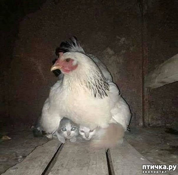 ���� 1: ������ ����������!?