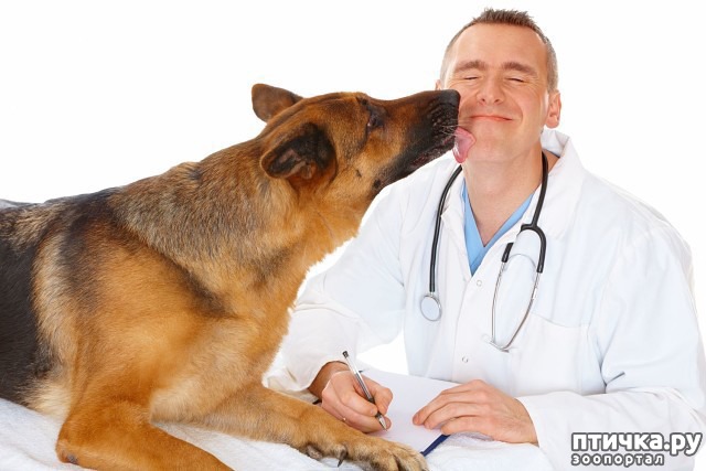 ���� 4: �����-����� ����� ������ �������� �������� ��������