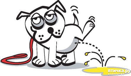 ���� 6: ������������� � ����� ���������� ����� � �������