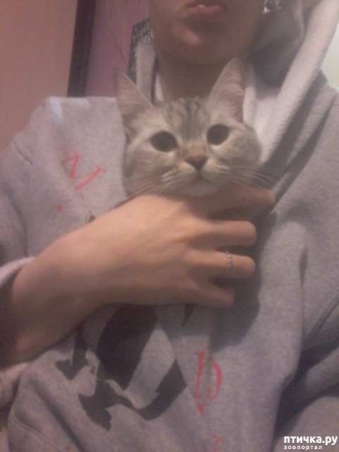 ���� 1: ���� ��������.