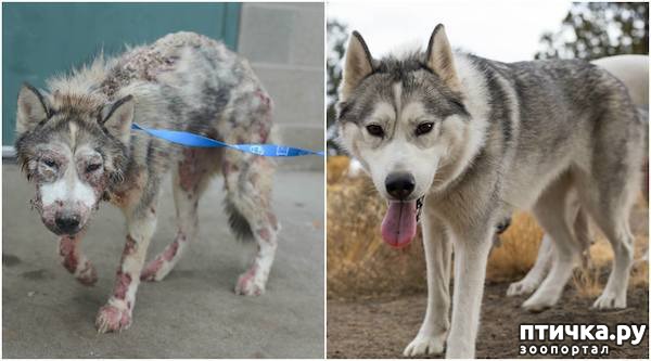 ���� 1: ������������ ������������ �����, ��������� �� �����