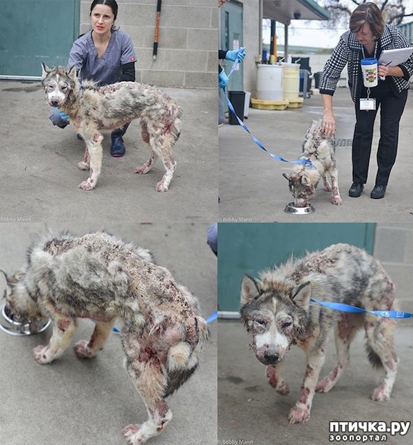 ���� 2: ������������ ������������ �����, ��������� �� �����