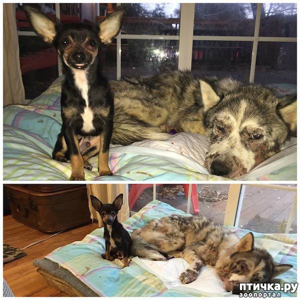 ���� 3: ������������ ������������ �����, ��������� �� �����