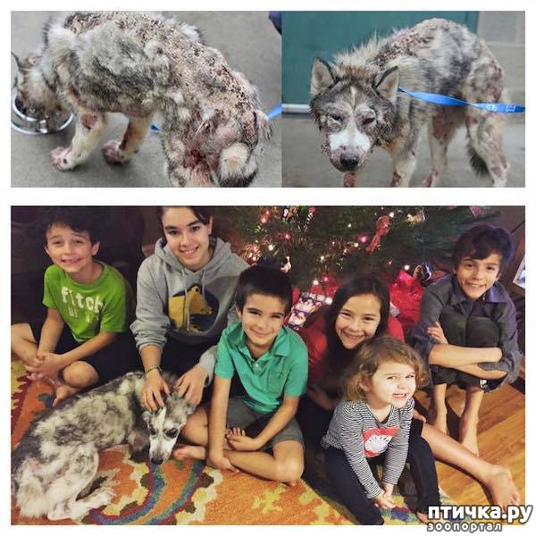 ���� 4: ������������ ������������ �����, ��������� �� �����