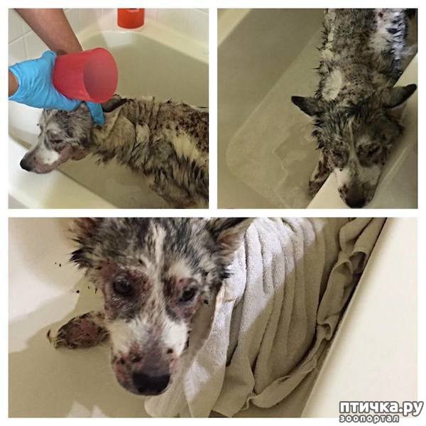 ���� 5: ������������ ������������ �����, ��������� �� �����