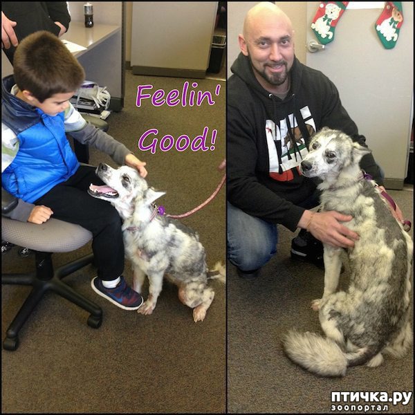 ���� 6: ������������ ������������ �����, ��������� �� �����