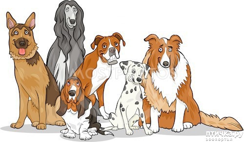 ���� 1: ������������� � ����� ���������� ����� � �������